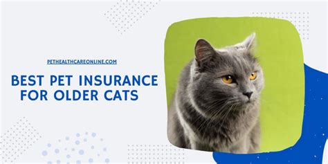 best pet insurance for old cats